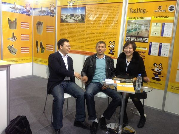 ������Ϸ���67381��������2013�������䲣���Ŵ�չ����