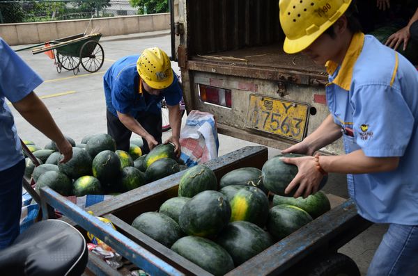 ����ɱ�����������������������ѵ�