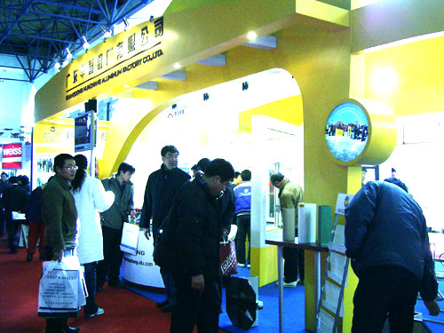 2006�й��������������Ŵ�Ļǽչ����