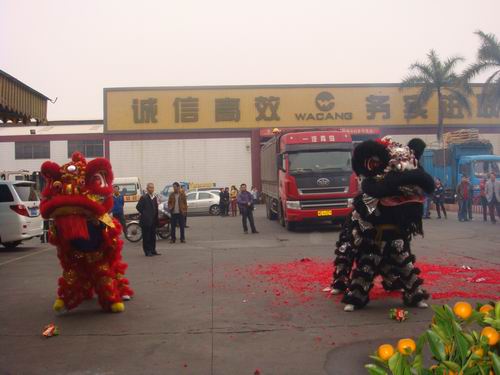 ������   ��ʨ����