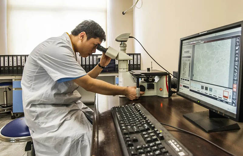 �㶫ʡ�г����ӹ�����,�Ϸ��ƾ�����ح������Ϸ���67381����: