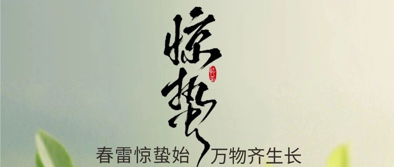 ���� | ���׾���ʼ ����������