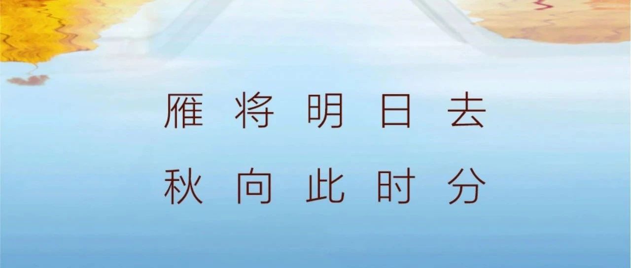 ��� | �㽫����ȥ  �����ʱ�֣�