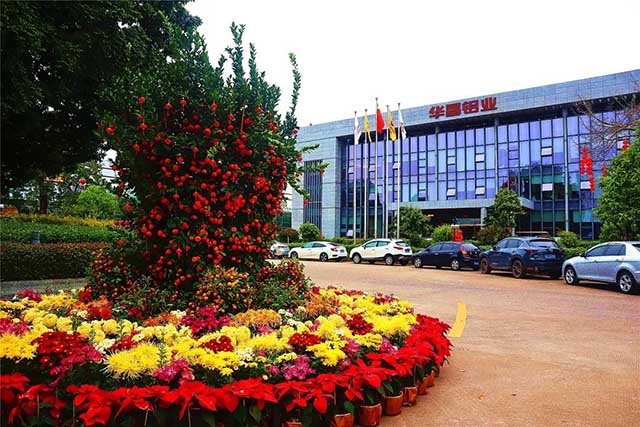 ������ | ������Ϸ���67381���š�������ȫ�������������徲ӭս2022!