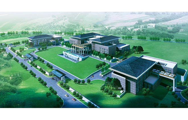 �ɶ���ţ����