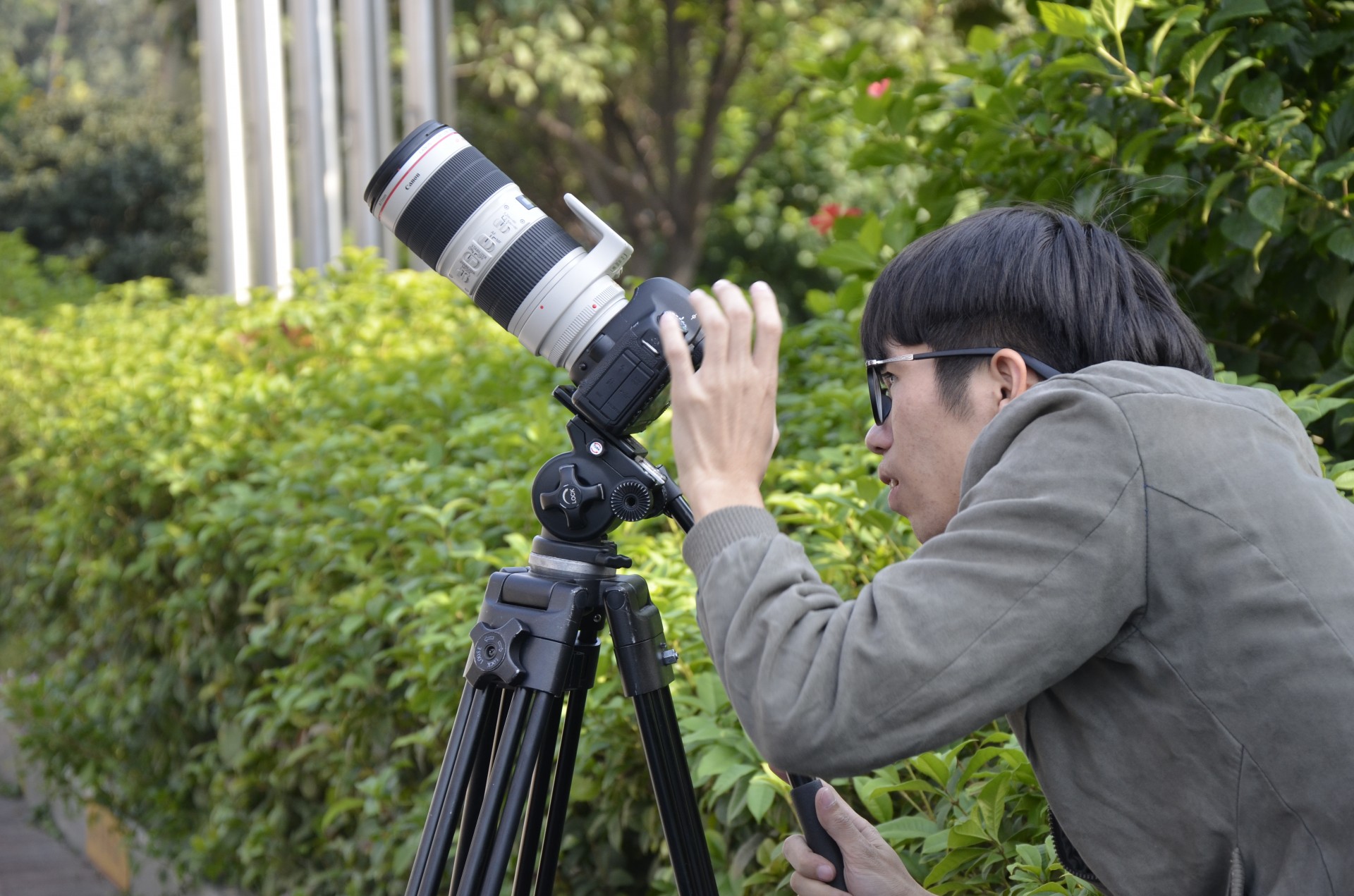 67381����-��Ϸ�ٷ���վ