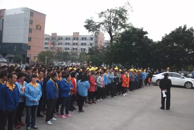 67381����-��Ϸ�ٷ���վ