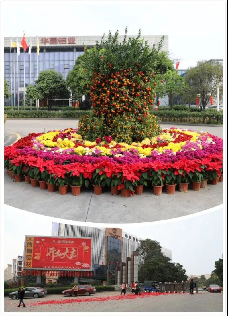 67381����-��Ϸ�ٷ���վ